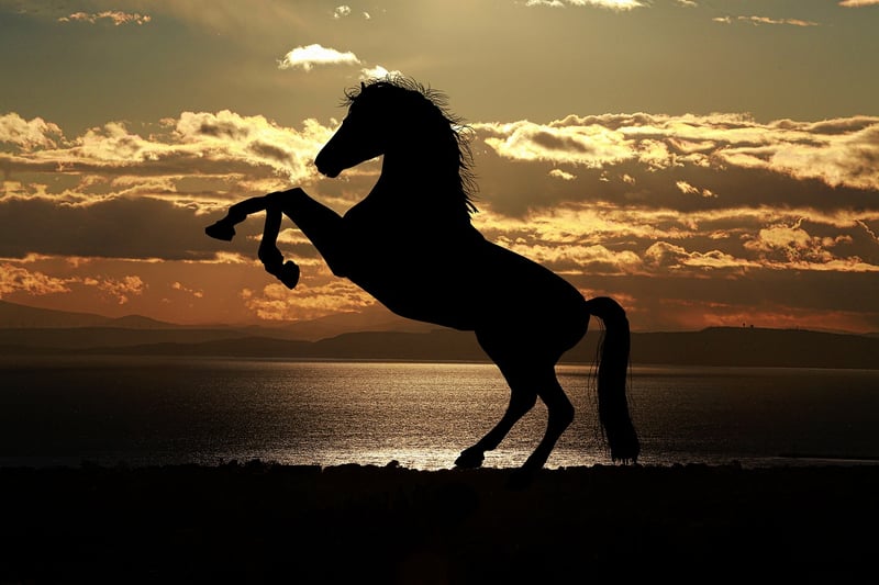 Silhouette of a person reflecting